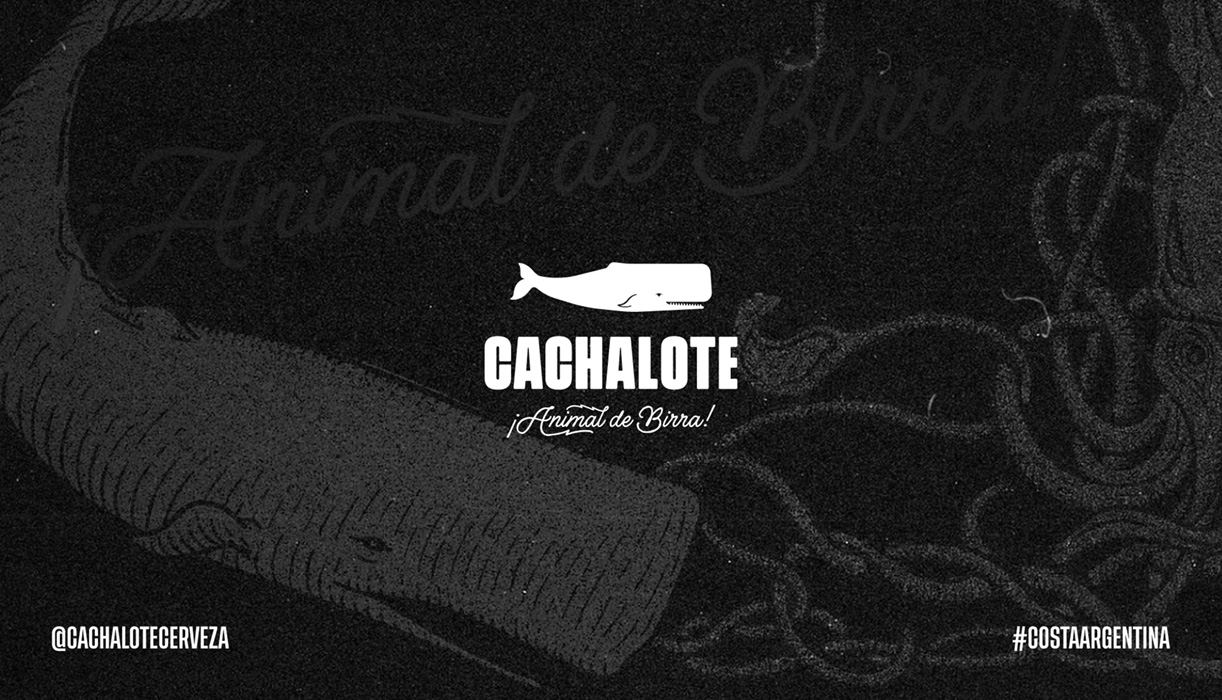Cachalote MDQ Beer